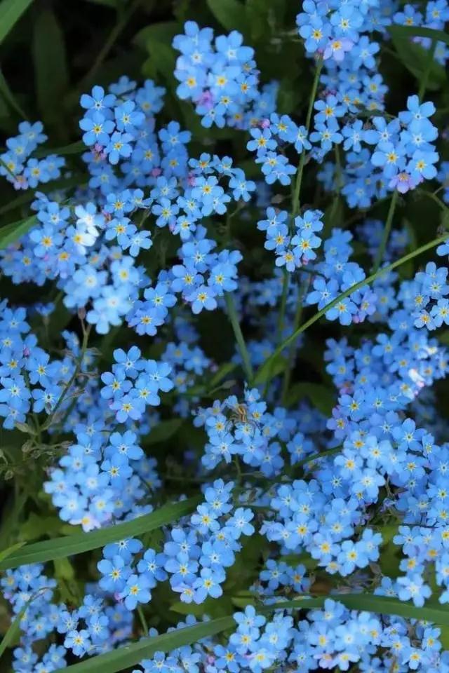 人生百味，一路芬芳